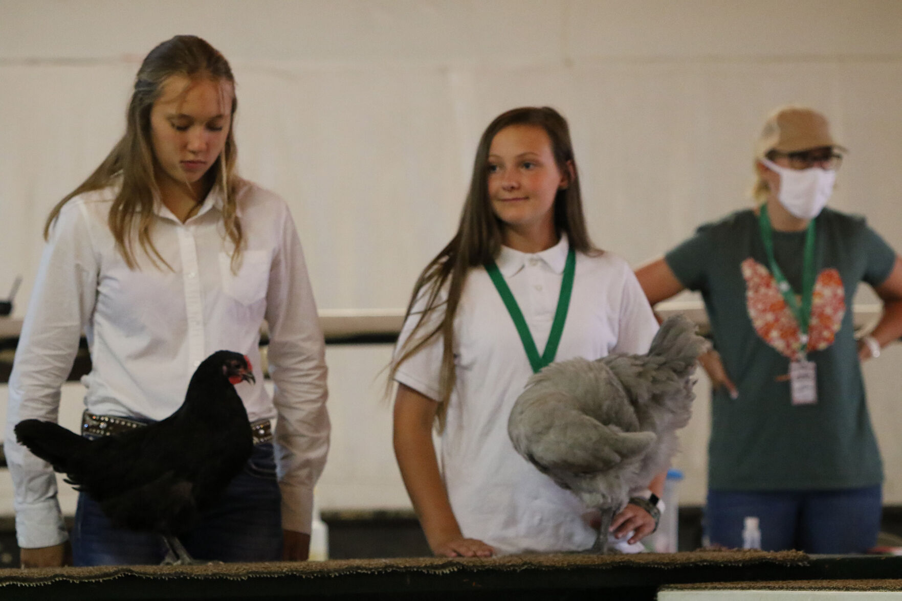 PHOTOS: Poultry Show at Scotts Bluff County Fair 2020